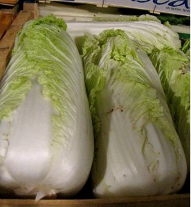 CHOU PE-TSAI (chinois)