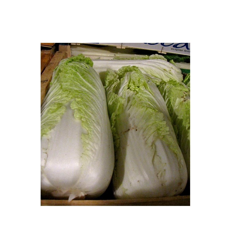 CHOU PE-TSAI (chinois)