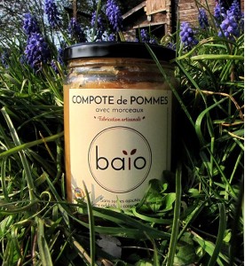 COMPOTE DE POMME AVEC MORCEAUX