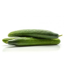 Concombre