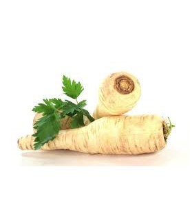 PERSIL TUBEREUX