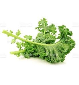 CHOU KALE BOTTE