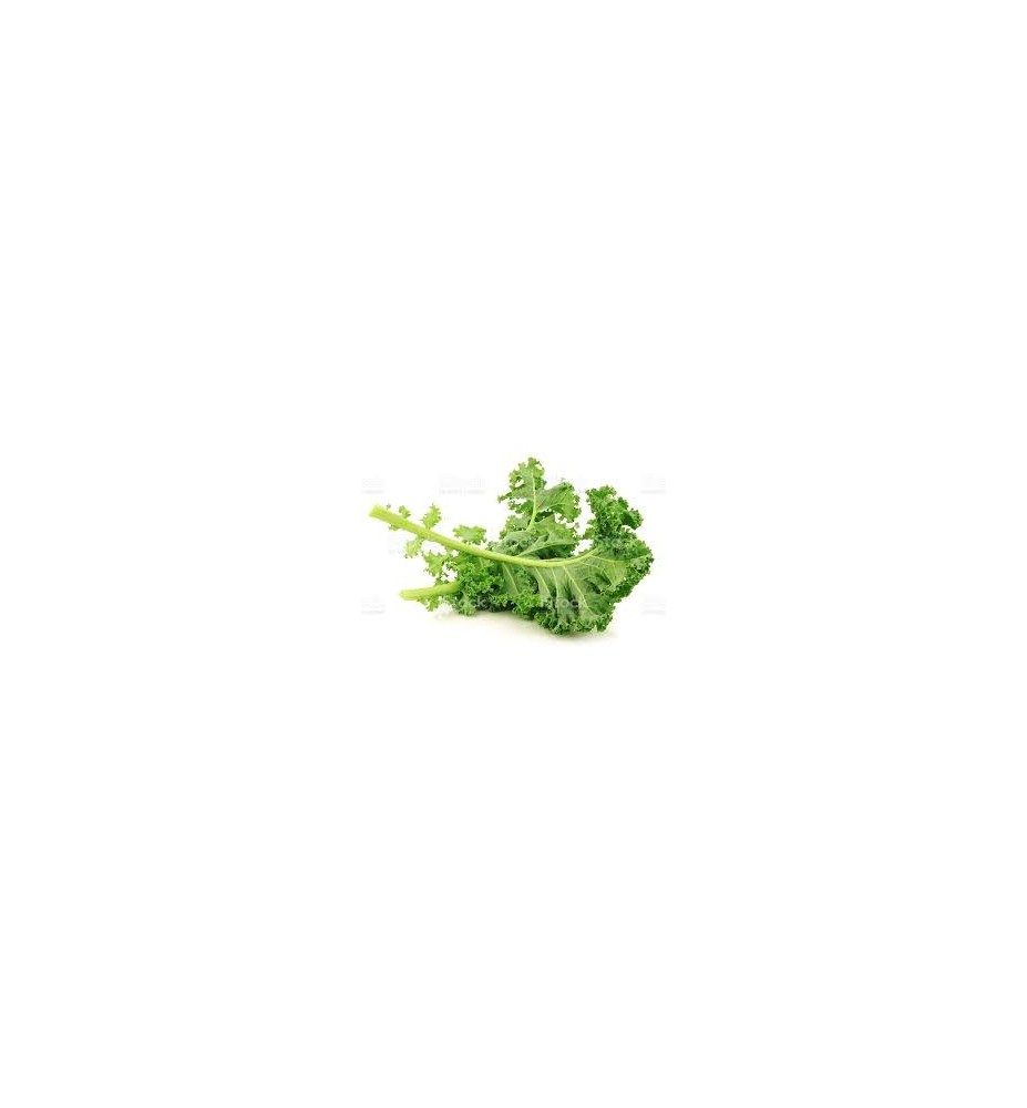 CHOU KALE BOTTE