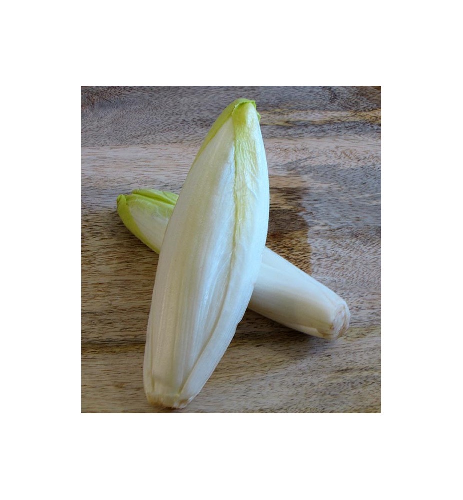 ENDIVES 500g