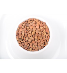 Lentillons du Perche