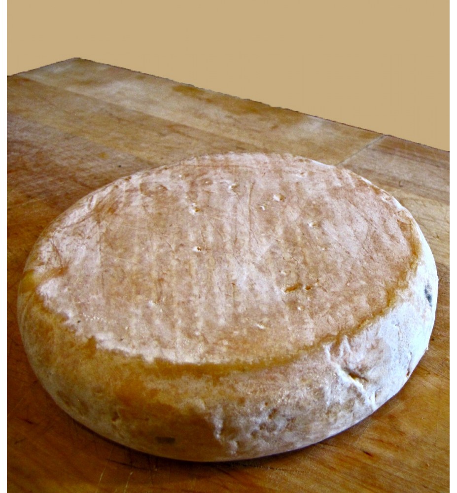 Patichon