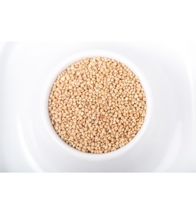 Quinoa