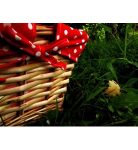 Panier Naturel Anses Amovibles