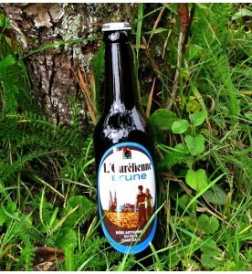 Bière Eurélienne Brune