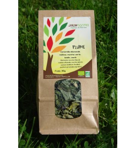 TISANE PLUME BIO
