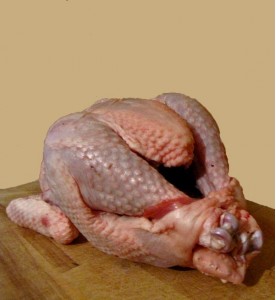 Poulet