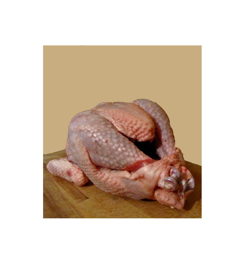 Poulet