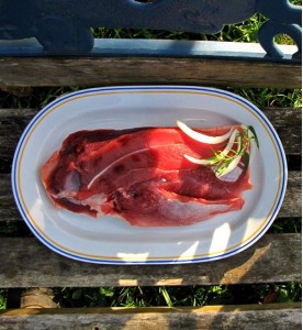 Filet de canard