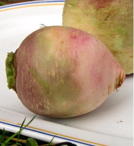 RADIS RED MEAT