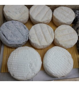 PERCHE BLANC OU CENDRE
