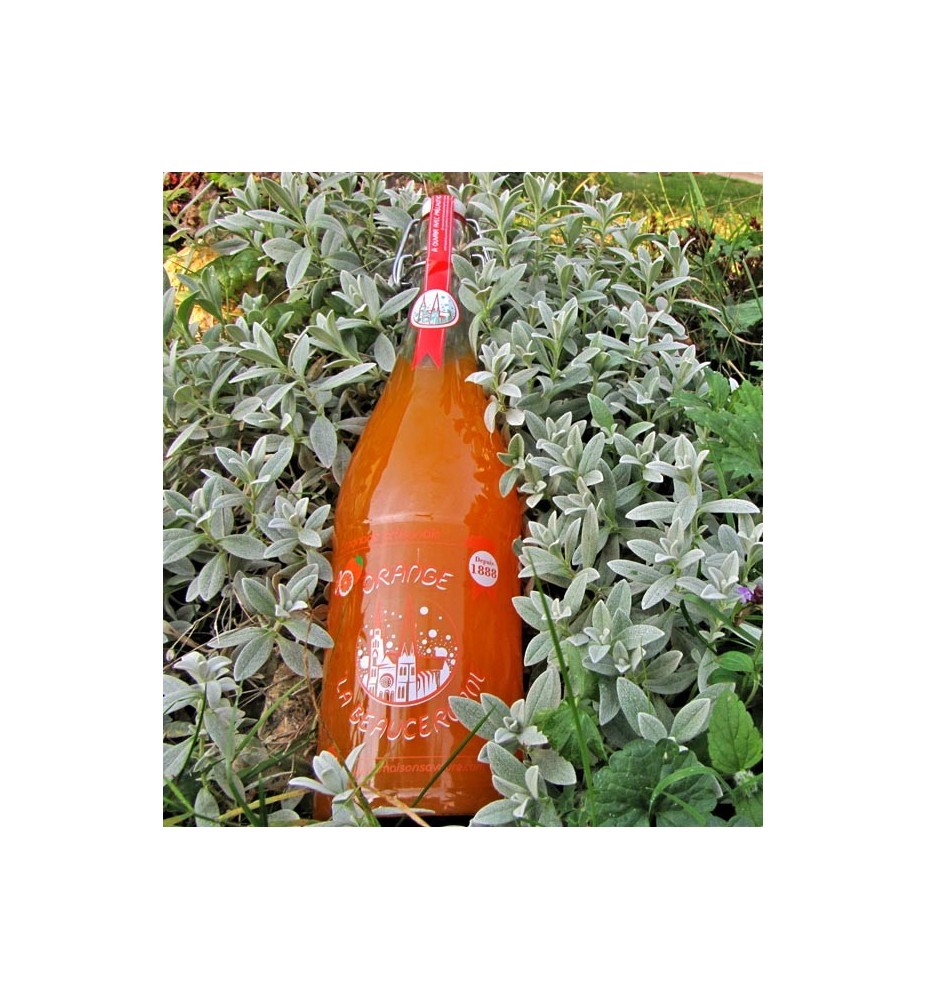 LIMONADE ORANGE LA BEAUCERONNE