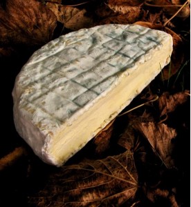 BLEU DE BEAUCE