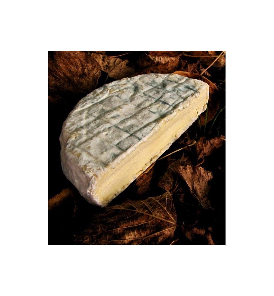 BLEU DE BEAUCE
