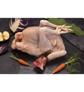 Poularde