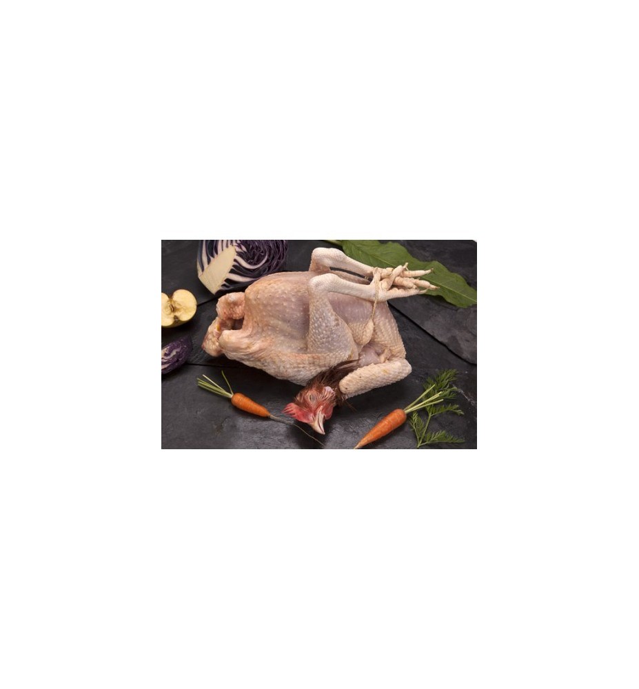 Poularde