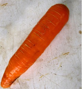 Carottes