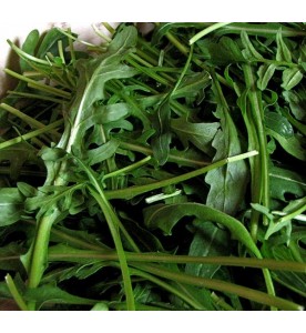 ROQUETTE