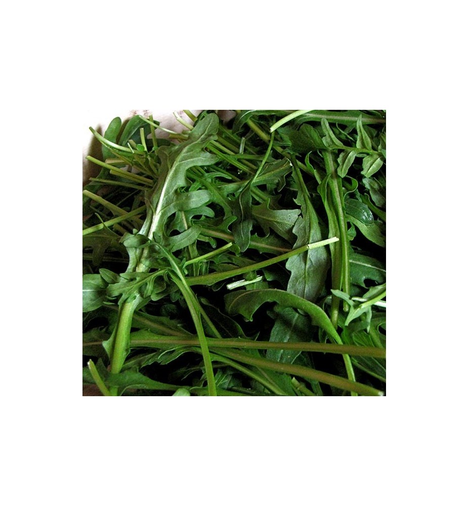 ROQUETTE