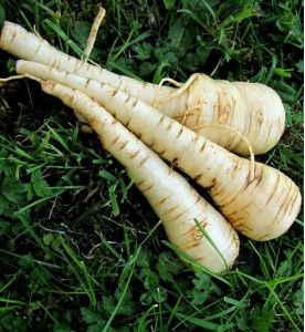 PANAIS