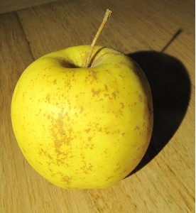 POMMES GOLDEN