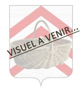 OIGNONS JAUNES EN BOTTE