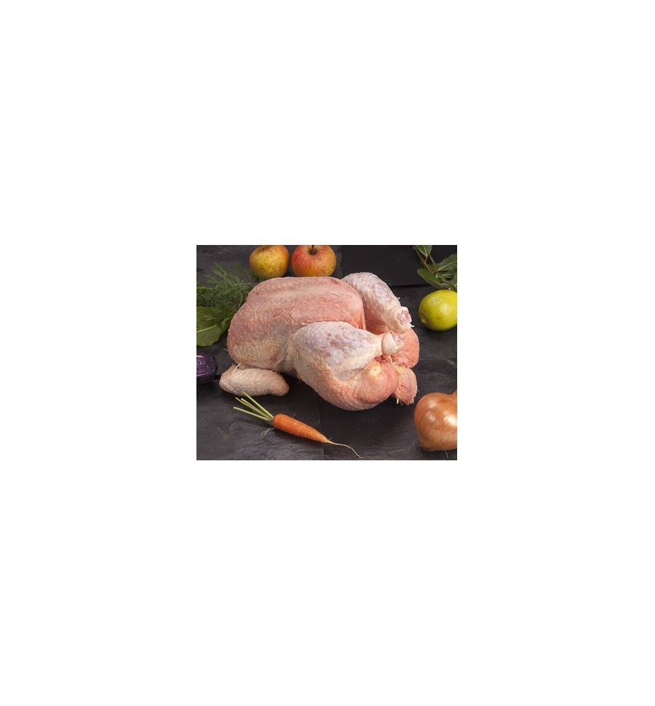 POULE FERMIERE