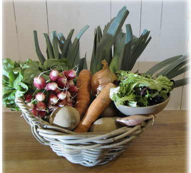 categorie-legumes.jpg