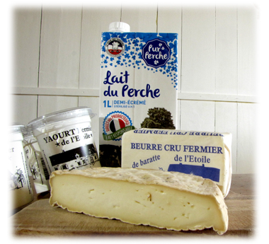 produits-laitiers-scaled.jpg