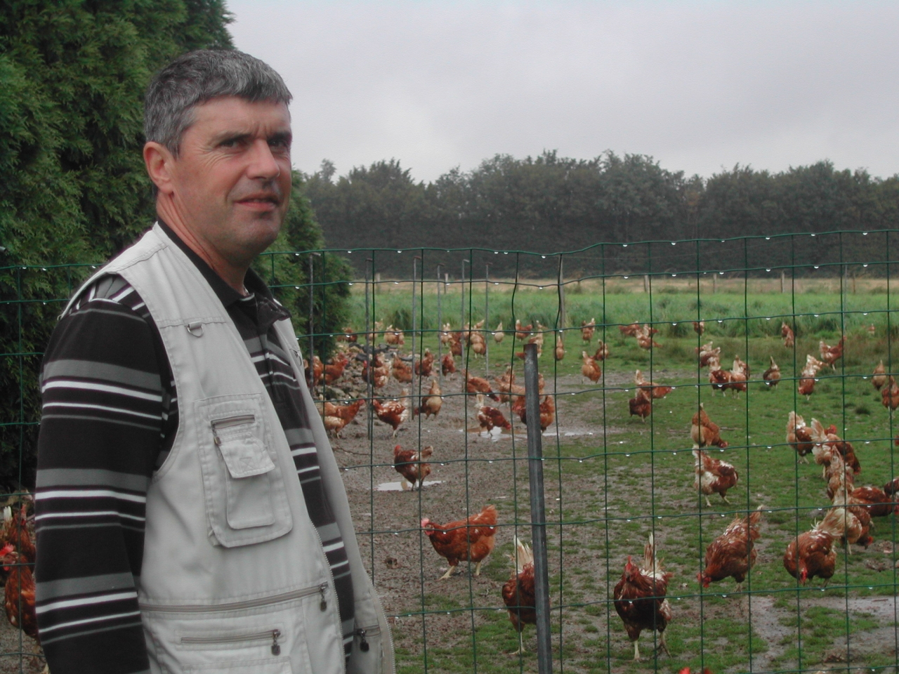 Bruno Debray