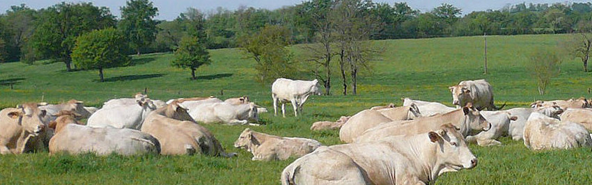 La Ferme des Vitriers